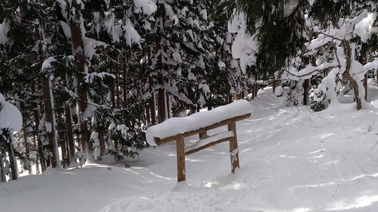 Nozawa Dream Hotel Exterior photo