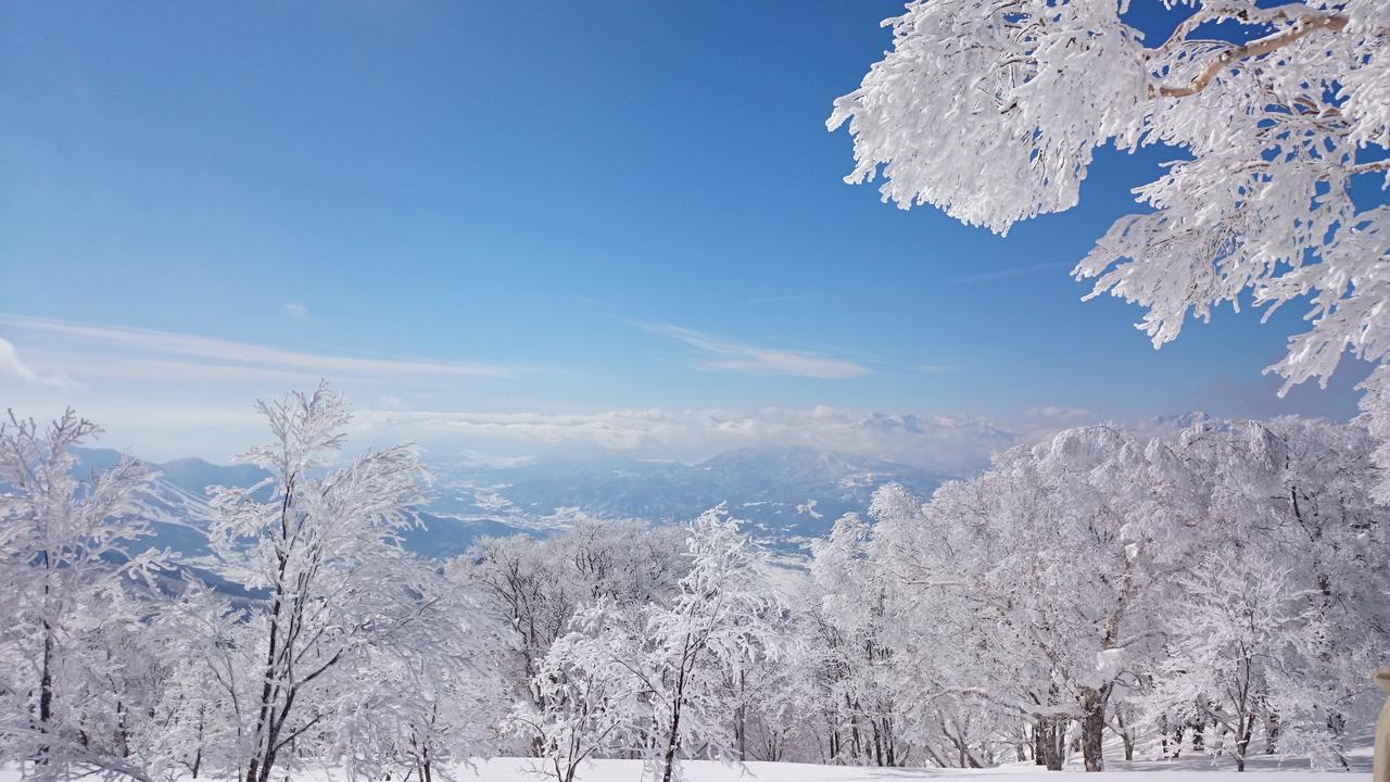 Nozawa Dream Hotel Exterior photo