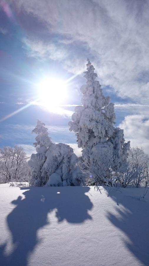 Nozawa Dream Hotel Exterior photo