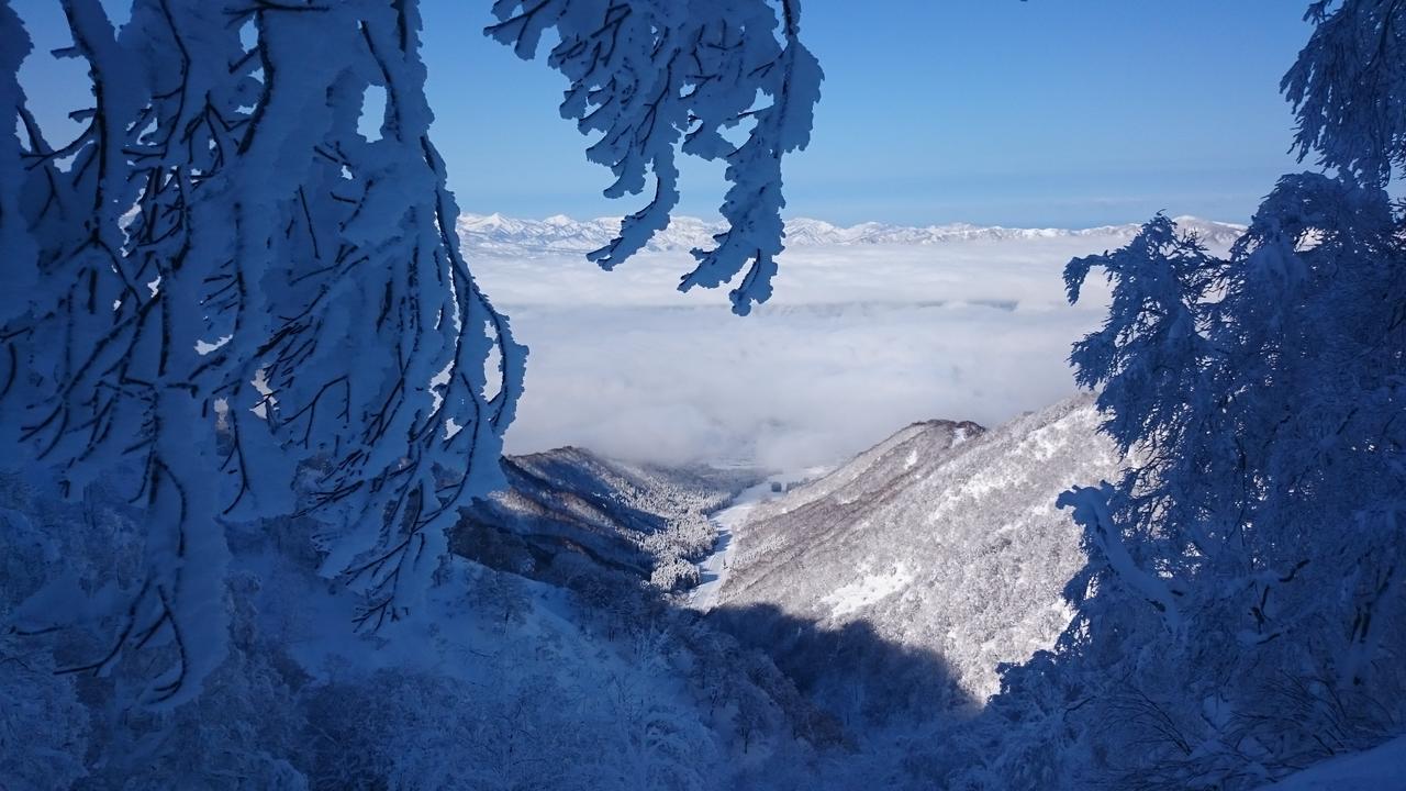 Nozawa Dream Hotel Exterior photo